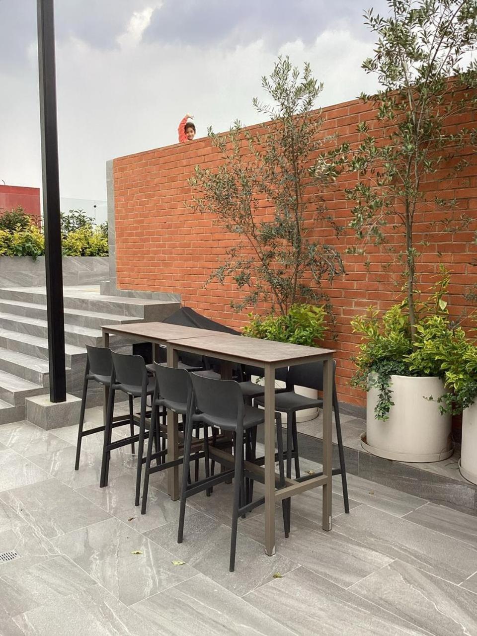 Hermoso Departamento En El Corazon De Condesa Apartment